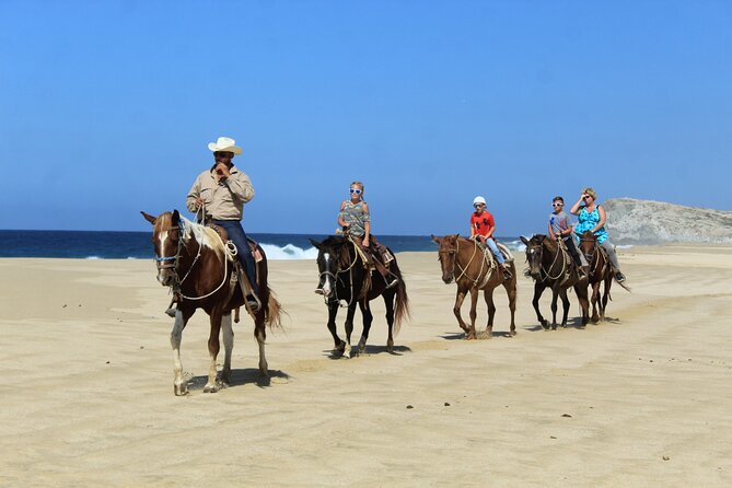 Cabo Shore Excursion: Beach Horseback Ride & Tequila Tasting - Los Cabos and El Arco stops: expect views, not a long sightseeing detour
