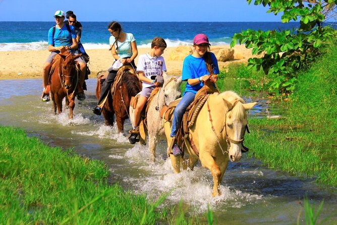 Cabo Shore Excursion: Beach Horseback Ride & Tequila Tasting - Guide quality makes or breaks this kind of trip