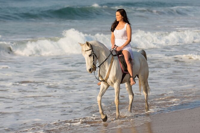 Cabo Shore Excursion: Beach Horseback Ride & Tequila Tasting - Who this horseback-and-tequila excursion is best for