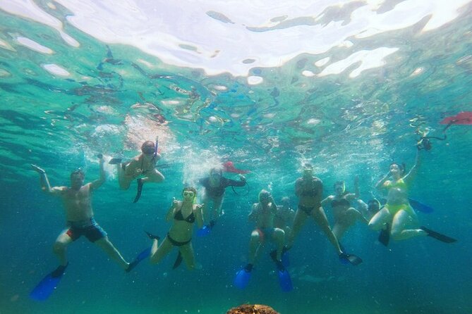 Cabo Snorkeling and Sailboat Tour with Lunch and Open Bar - Price and Value: Is This $89 Cabo Snorkel Sailboat Tour Worth It?