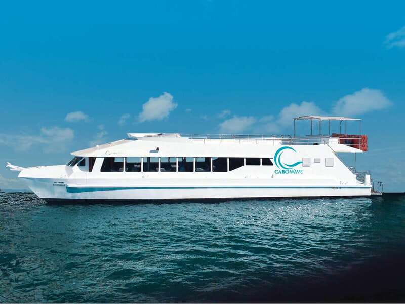 Cabo: Sunset Cruise with Dinner, Music & Open Bar - Key Points to Know Before You Go