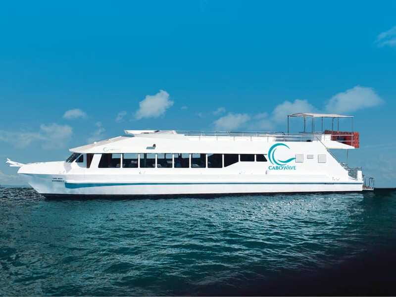 Cabo: Sunset Cruise with Dinner, Music & Open Bar - Open Bar and Music: Built for Fun, Not Quiet