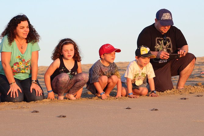 Cabo Turtle Release - Price and what $109 really covers in Cabo San Lucas