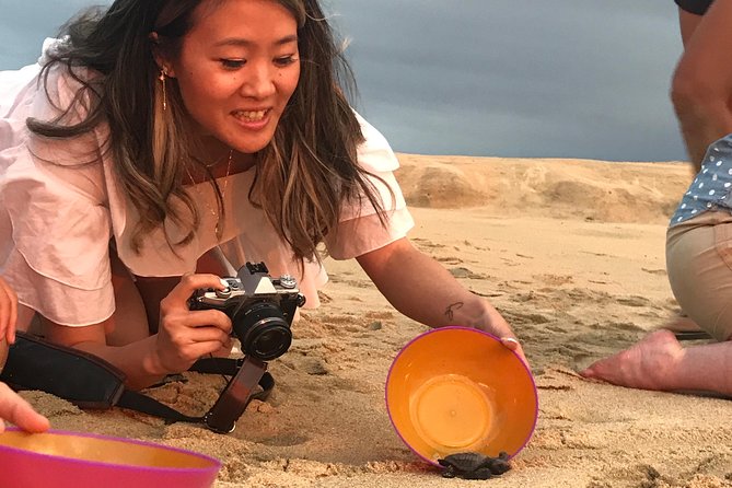 Cabo Turtle Release - Where you meet: CaboTrekHotel Tesoro and why you’ll want to be early