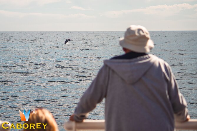 Cabo Whale Watch Three-Level Vessel and Majestic Arch - Key highlights to know before you go