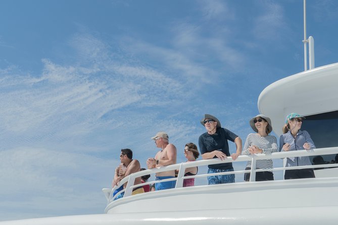 Cabo Whale Watch Three-Level Vessel and Majestic Arch - El Arco stop: the must-see photo moment near Cabo San Lucas