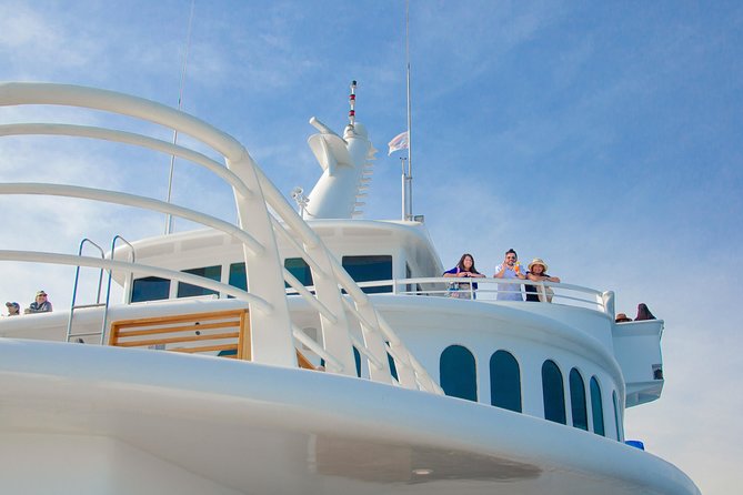 Cabo Whale Watch Three-Level Vessel and Majestic Arch - Cruising the Baja California Sur coast: sea meets desert
