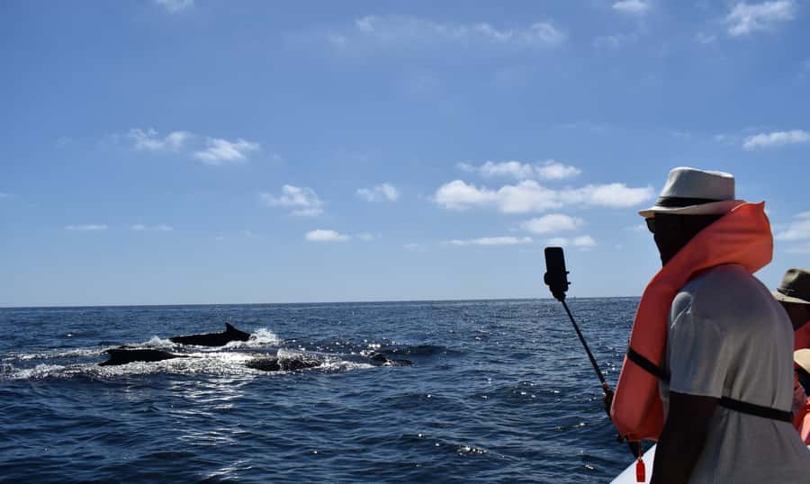 Cabo: Whale-Whatching Boat Trip w/ All-Women Crew and Photos - Should you book this Cabo whale watching trip?