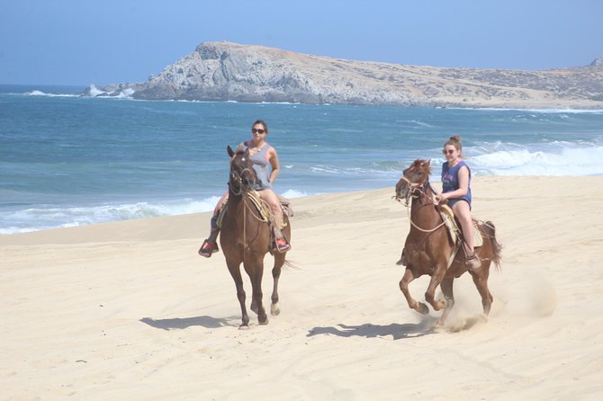 Cabo White Sand Horseback Riding Tour and Tequila Tasting - Key things I’d zero in on