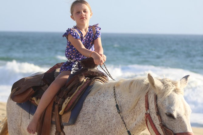 Cabo White Sand Horseback Riding Tour and Tequila Tasting - Desert to white-sand horseback riding, the Cabo way