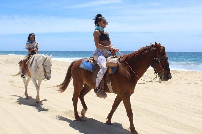 Cabo White Sand Horseback Riding Tour and Tequila Tasting - Ranch start: horses, safety gear, and how pace really works