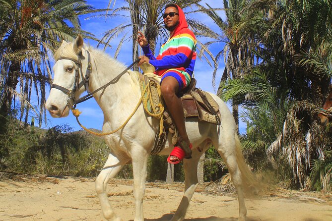 Cabo White Sand Horseback Riding Tour and Tequila Tasting - Desert trails on Baja Races routes: what you’ll feel on the horse