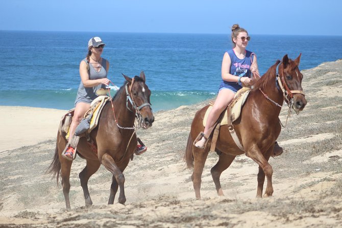 Cabo White Sand Horseback Riding Tour and Tequila Tasting - Beach riding, whale season, and coastal wildlife from shore