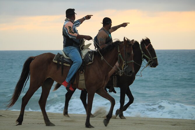 Cabo White Sand Horseback Riding Tour and Tequila Tasting - Tequila tasting at the end: included, but keep expectations grounded