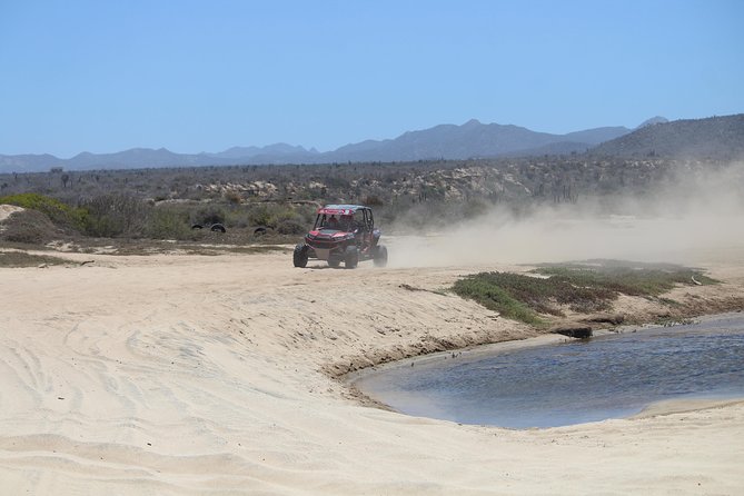 Cabo Wild Desert Tour, Polaris ATV or Razor Single, Double, Triple or Quad! - Price value: where the money goes and what adds up