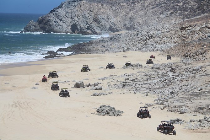Cabo Wild Desert Tour, Polaris ATV or Razor Single, Double, Triple or Quad! - Guides are the difference: Armando, Julio, Alex, Alberto, and Tonny