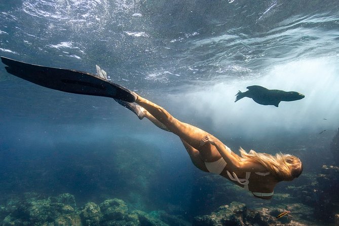 Cabo Wildlife Safari - Cabo Wildlife Safari in a Nutshell: 2.5 Hours, One Ocean Goal
