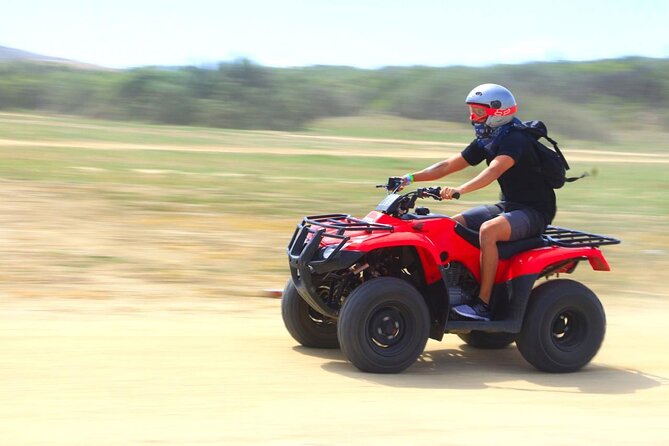 Cactus Combo Combine two of your favorite desert tours - Key Things That Make the Cactus Combo Worth Watching