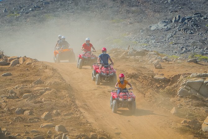 Cactus Combo Combine two of your favorite desert tours - Camel Riding by the Sea: The Slower Half That Sticks With You