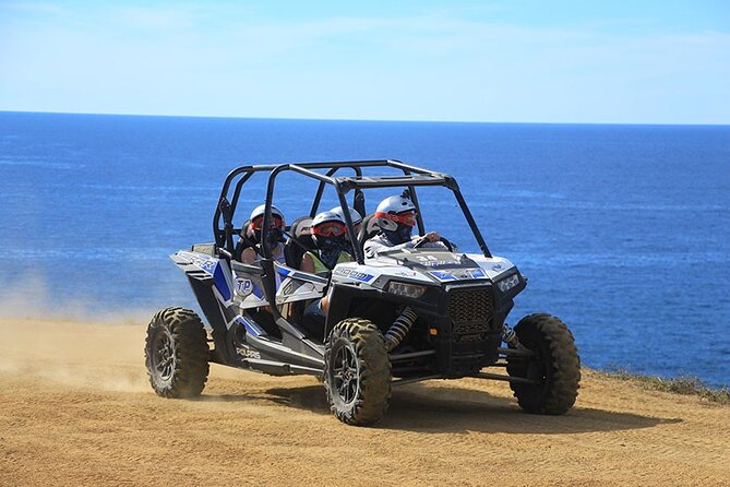Cactus Combo Combine two of your favorite desert tours - Should You Book the Cactus Combo?