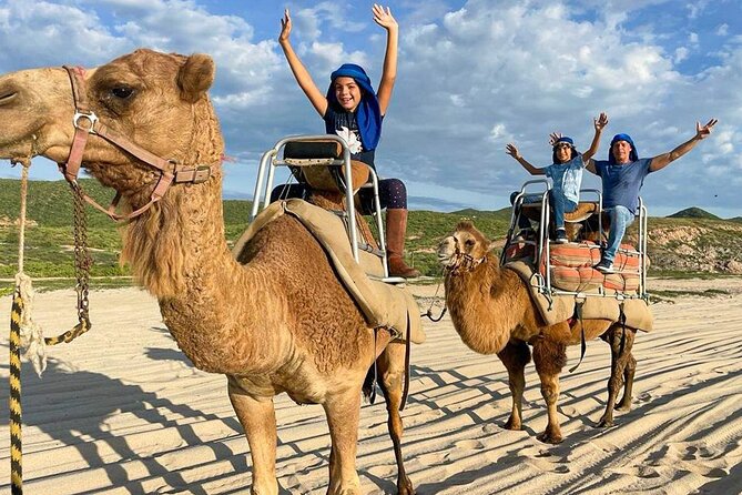 Camel Encounter and Safari Ride with Lunch and Alcohol Tasting - Meeting at G-Force Adventures and Getting Beach-Ready