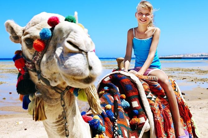 Camel Encounter and Safari Ride with Lunch and Alcohol Tasting - Value in Cabo: Is This $95 Camel + Safari Worth It?