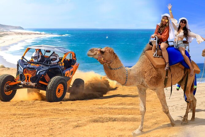 Camel Ride and UTV Combo Adventure, with Tequila Tasting - Key Points to Know Before You Go
