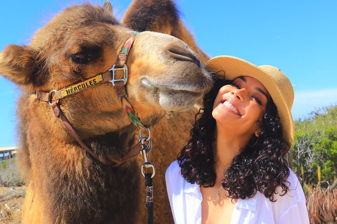 Camel Ride and UTV Combo Adventure, with Tequila Tasting - Rancho de Migriño Start: Safety Briefing First, Fun Second