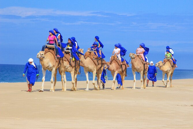 Camel Ride and UTV Combo Adventure, with Tequila Tasting - Sand Dunes and Ocean Cliffs: Where the Best Views Meet the Fastest Moments