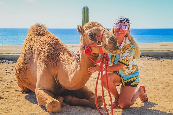 Camel Ride and UTV Combo Adventure, with Tequila Tasting - Tequila Tasting at the Ranch: 20 Minutes, Learn the Basics