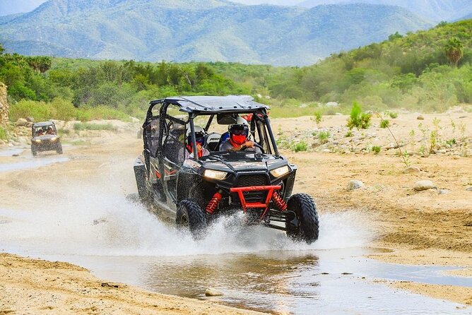 Camel Ride and UTV Combo Adventure, with Tequila Tasting - Price Reality Check: What You Pay Up Front vs What Shows Up On Site