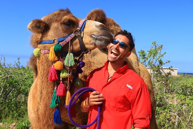 Camel Ride and UTV Combo Adventure, with Tequila Tasting - Transportation and Timing: Don’t Underestimate How Long It Takes