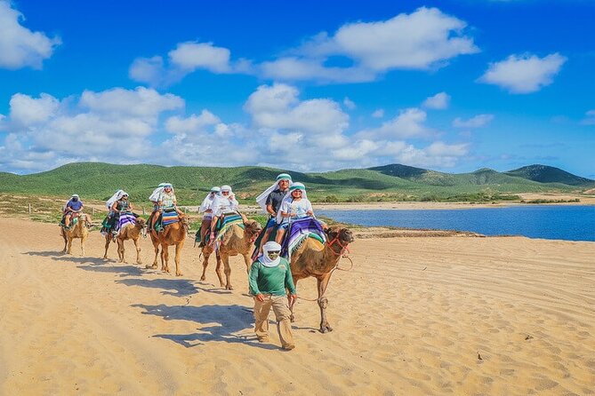 Camel Ride & ATV Combo in Migriño, Mexico - Key things to know before you book