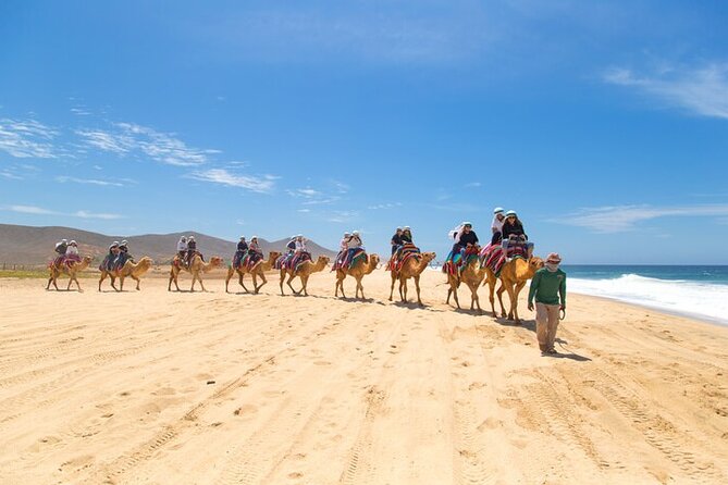 Camel Ride & ATV Combo in Migriño, Mexico - Hotel pickup and the gearing-up yard: where the trip starts to feel real