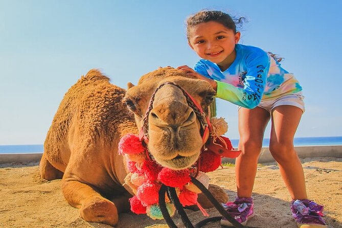 Camel Ride & ATV Combo in Migriño, Mexico - Migriño Beach: secluded views, wildlife time, and movie-location trivia
