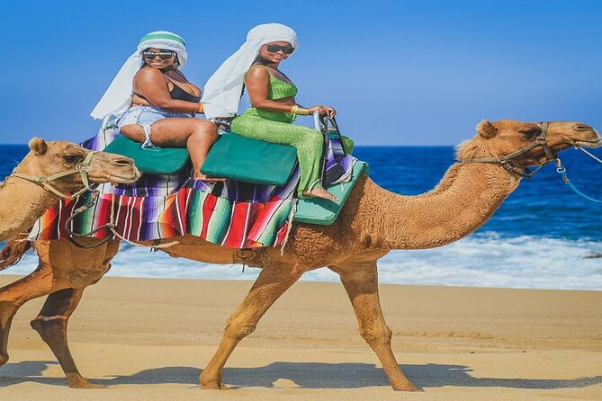 Camel Ride & ATV Combo in Migriño, Mexico - Price breakdown: what you really pay for at $125