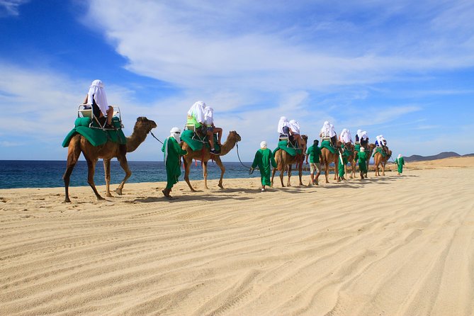 Camel Ride & Encounter at Los Cabos - Key highlights worth waking up for