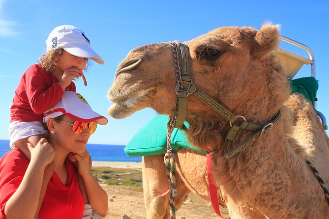 Camel Ride & Encounter at Los Cabos - Getting picked up in Cabo and finding the right start