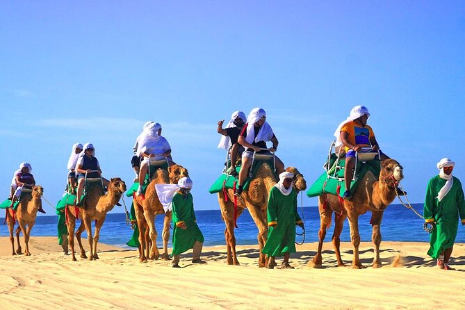 Camel Ride & Encounter at Los Cabos - Lunch and drinks: where the value really shows