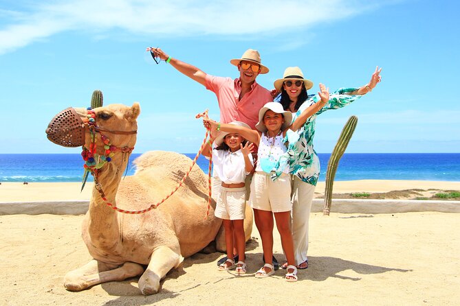 Camel Ride Experience in Los Cabos with Pick up and Lunch - Price and the Real Cost: What $150.42 Buys You