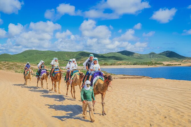 Camel Ride Experience in Los Cabos with Pick up and Lunch - The Short Nature Talk: Flora and Fauna Around Cabo