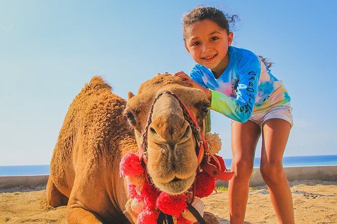 Camel Ride Experience in Los Cabos with Pick up and Lunch - Tacos and Traditional Flavored Water: The End of the Ride