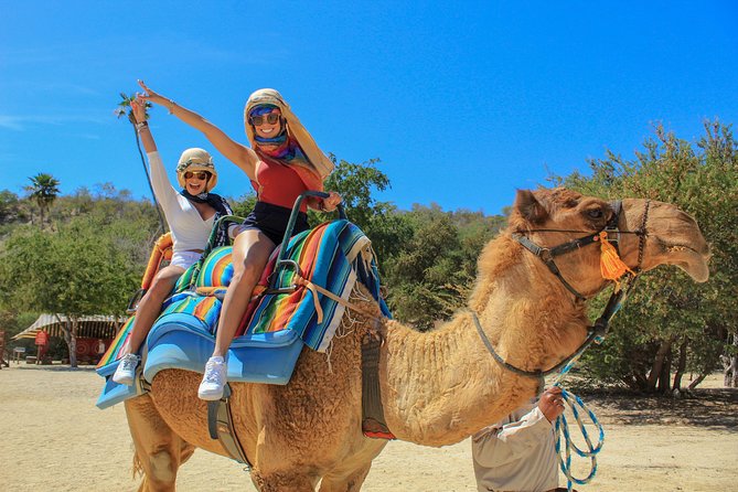 Camel Ride in the Canyon + Thrilling Water-Slides & Snacks - Key highlights you’ll feel right away