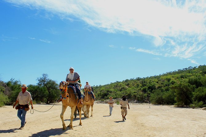 Camel Ride in the Canyon + Thrilling Water-Slides & Snacks - El Tule canyon riding: the part you’ll remember most