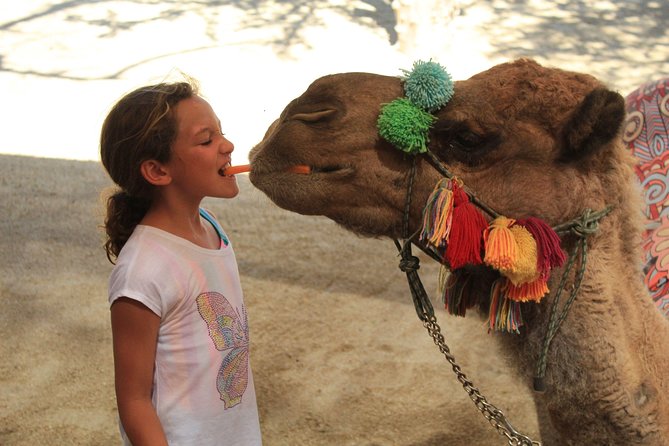 Camel Ride in the Canyon + Thrilling Water-Slides & Snacks - Feeding camels and the no-camera rule