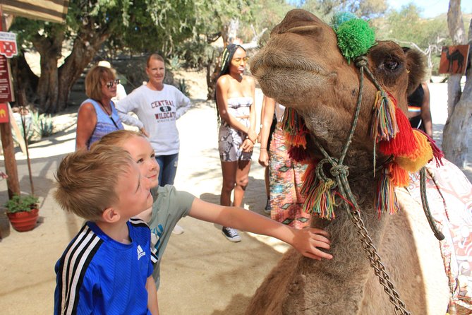 Camel Ride in the Canyon + Thrilling Water-Slides & Snacks - What’s included: snacks, drinks, and hydration that actually helps
