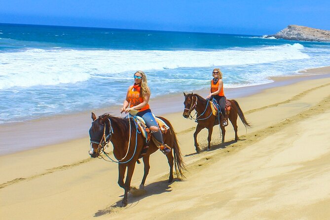 Camel Ride Tour in Los Cabos - Key things to know before you go