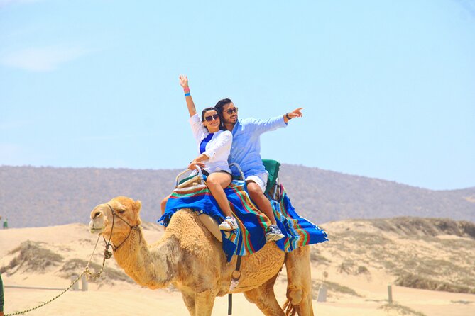 Camel riding experience on the shores of the Pacific Ocean - Key highlights to know before you go