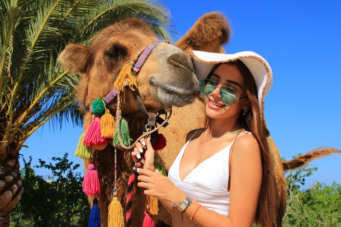 Camel riding experience on the shores of the Pacific Ocean - Why Ride Camels by the Pacific in Cabo San Lucas?