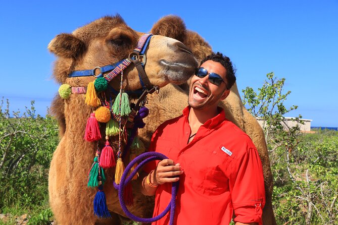 Camel riding experience on the shores of the Pacific Ocean - Safety Instructions and the 20-Minute Ride Over Dunes
